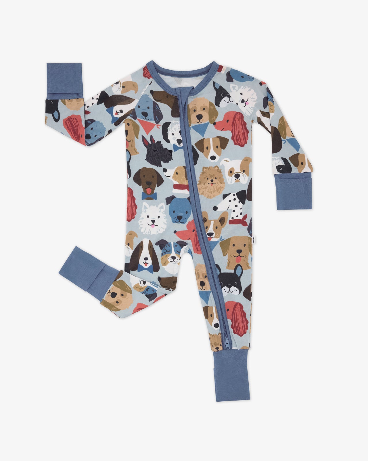 Gray Puppy Parade Zippy - Image 6