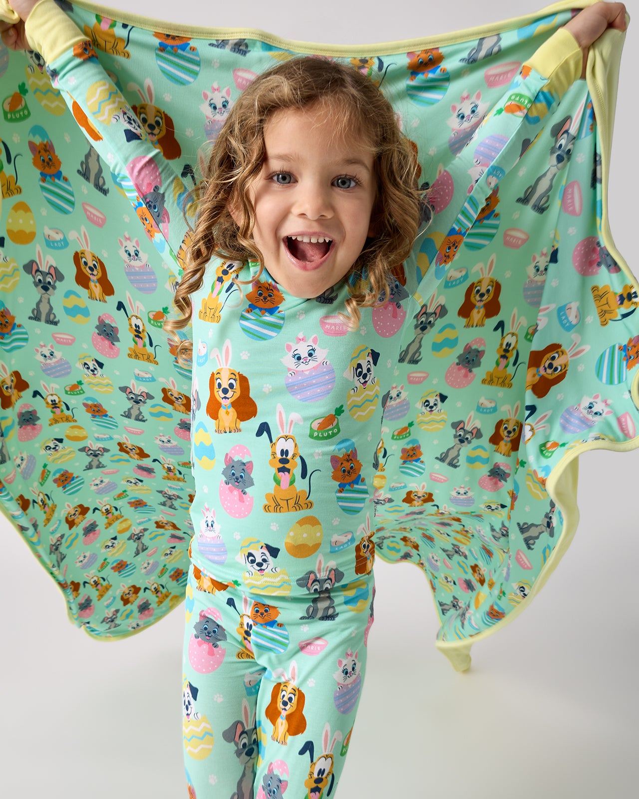 Disney Peekaboo Pets Large Cloud Blanket? - Image 2