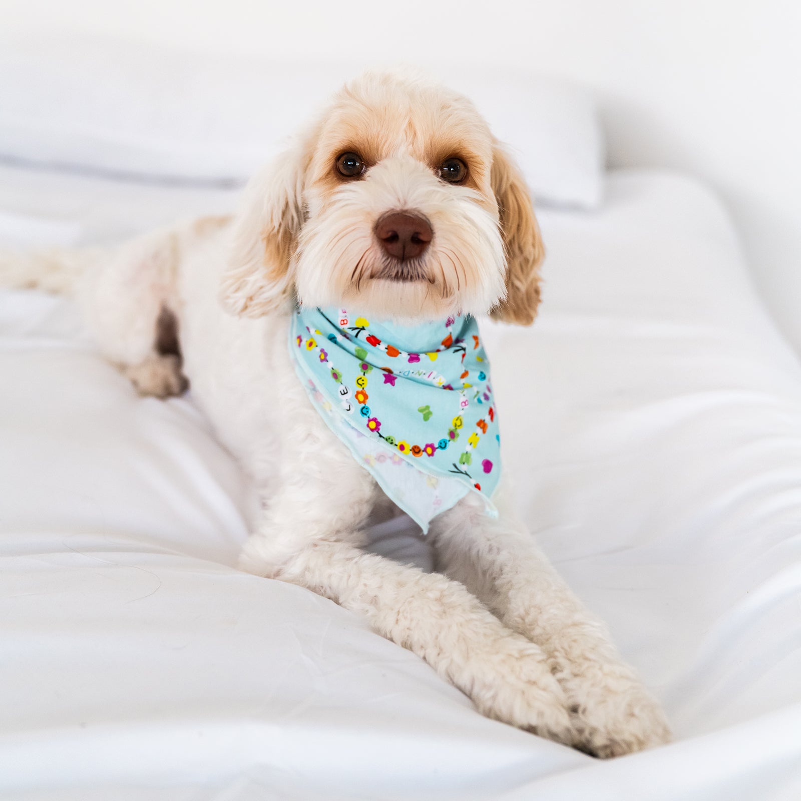 Friends Forever Pet Bandana - Image 2