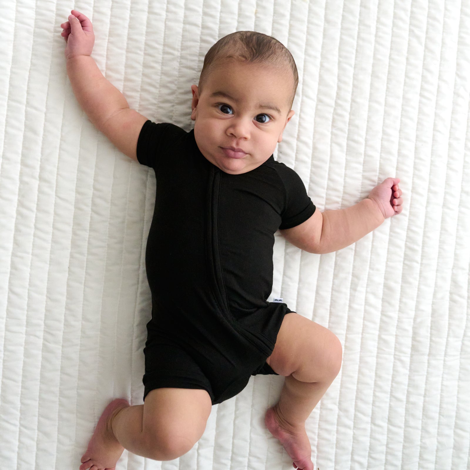 Black Shorty Zippy