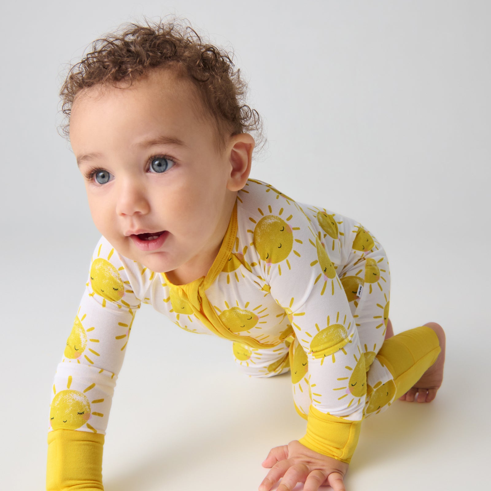 Sunshine Zippy - Image 3