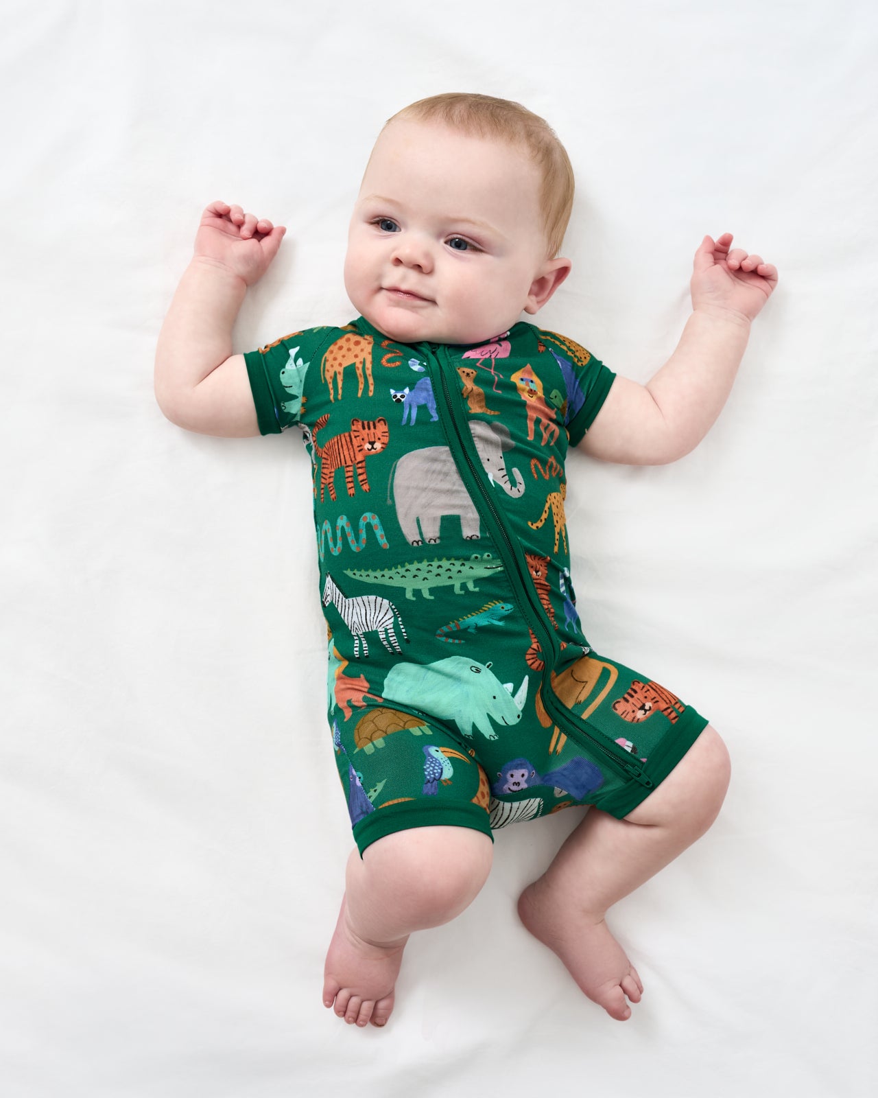 Wild Zoo Shorty Zippy